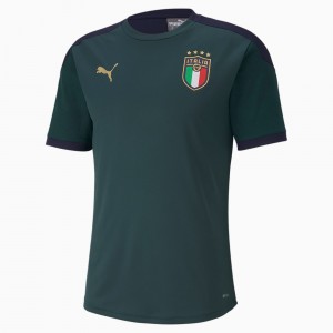 Camiseta Puma FIGC Entrenamiento Ponderosa Pine / Peacoat | 87460FMUO