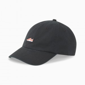 Gorras Puma Dad Negros | 63914HORC