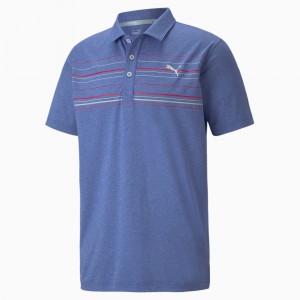 Polo Puma MATTR Hazard Azules | 60389XYWZ