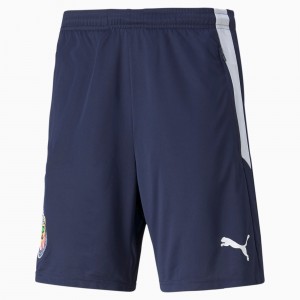Short Puma Chivas Entrenamiento Soccer Blancos | 97132CLHM