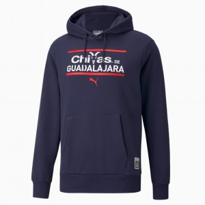 Sudadera con Capucha Puma Chivas FtblCore Soccer Blancos | 74569TXYF