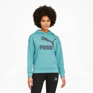 Sudadera con Capucha Puma Classics Logo Porcelain | 19465NOZJ