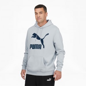 Sudadera con Capucha Puma Classics Logo Hoodie FL BT Azules | 13825DVFN