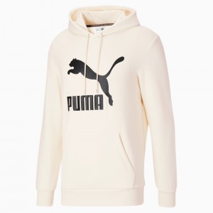 Sudadera con Capucha Puma Classics Logo Hoodie FL no color | 21637NGHC