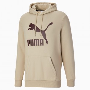 Sudadera con Capucha Puma Classics Logo FL Verdes | 31640GBNR