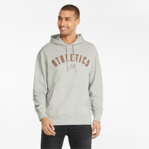 Sudadera con Capucha Puma The NeverWorn Gray Violet | 42897GJPY