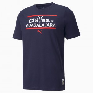 Tee Puma Chivas FtblCore Soccer Blancos | 75634AUHL