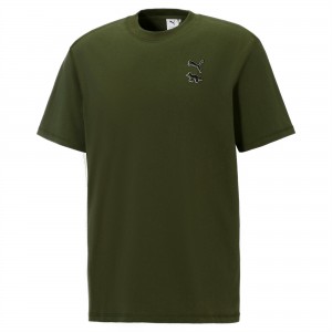 Tee Puma PUMA x MAISON KITSUNE Verdes | 74958BTME