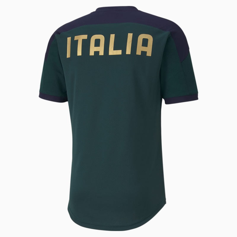 Camiseta Puma FIGC Entrenamiento Ponderosa Pine / Peacoat | 87460FMUO