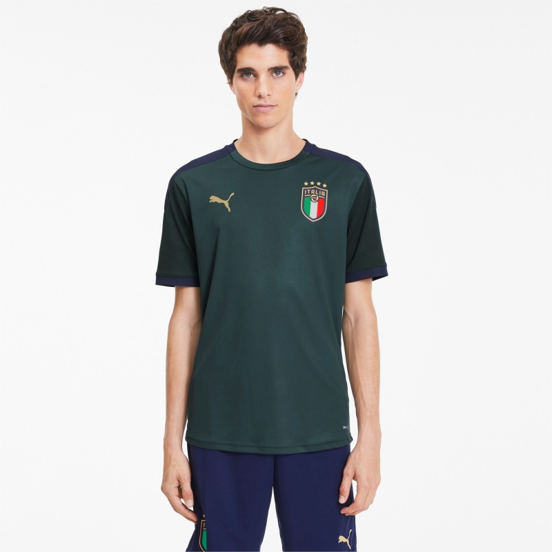 Camiseta Puma FIGC Entrenamiento Ponderosa Pine / Peacoat | 87460FMUO