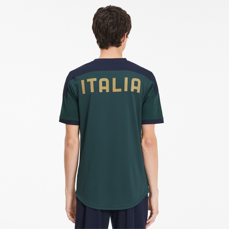Camiseta Puma FIGC Entrenamiento Ponderosa Pine / Peacoat | 87460FMUO