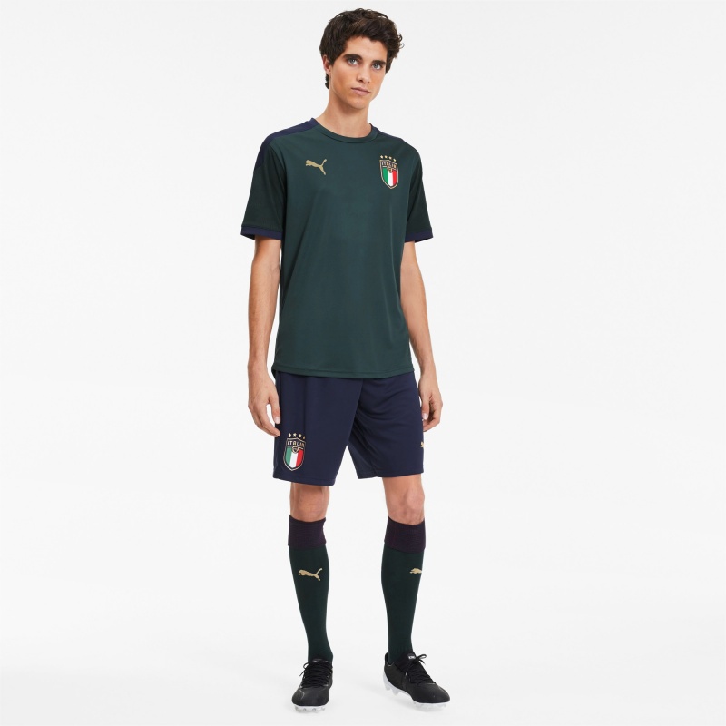 Camiseta Puma FIGC Entrenamiento Ponderosa Pine / Peacoat | 87460FMUO
