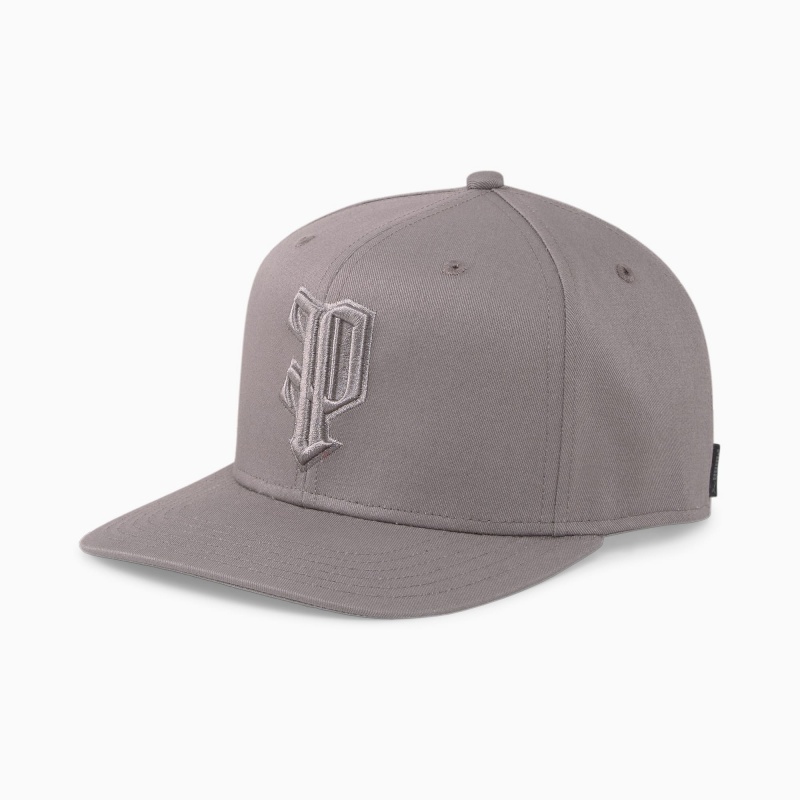 Gorras Puma The P Low Curve Steel Gray | 95310VYUA