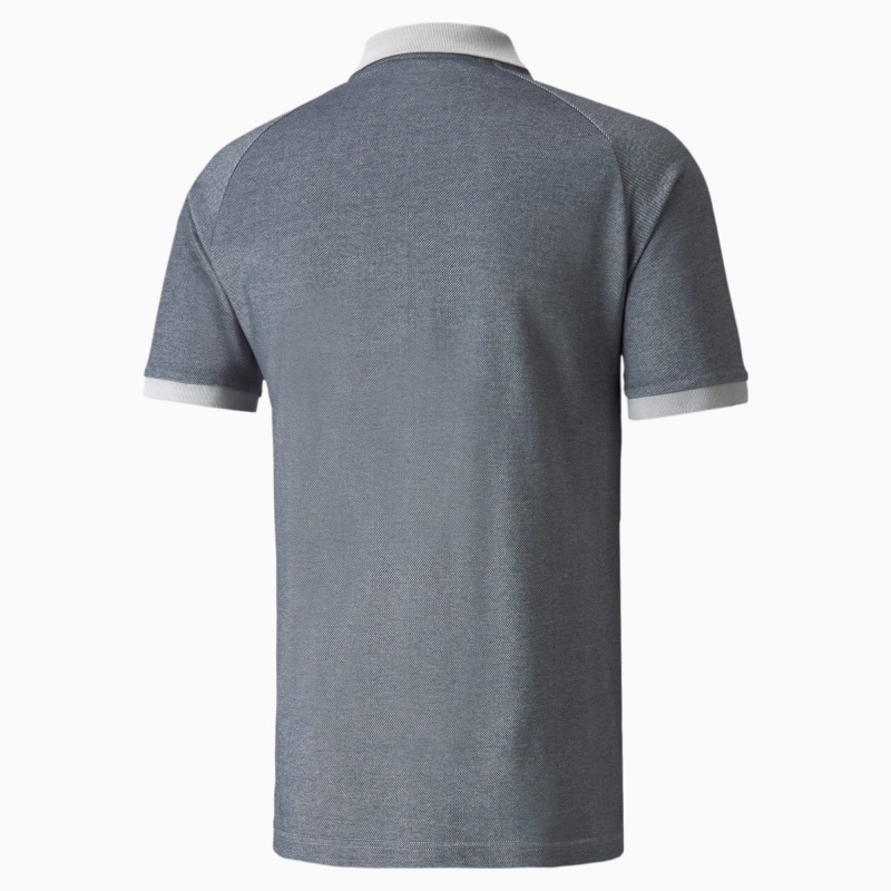 Polo Puma Mercedes F1 Two-Tone Plateados | 65927GPAF