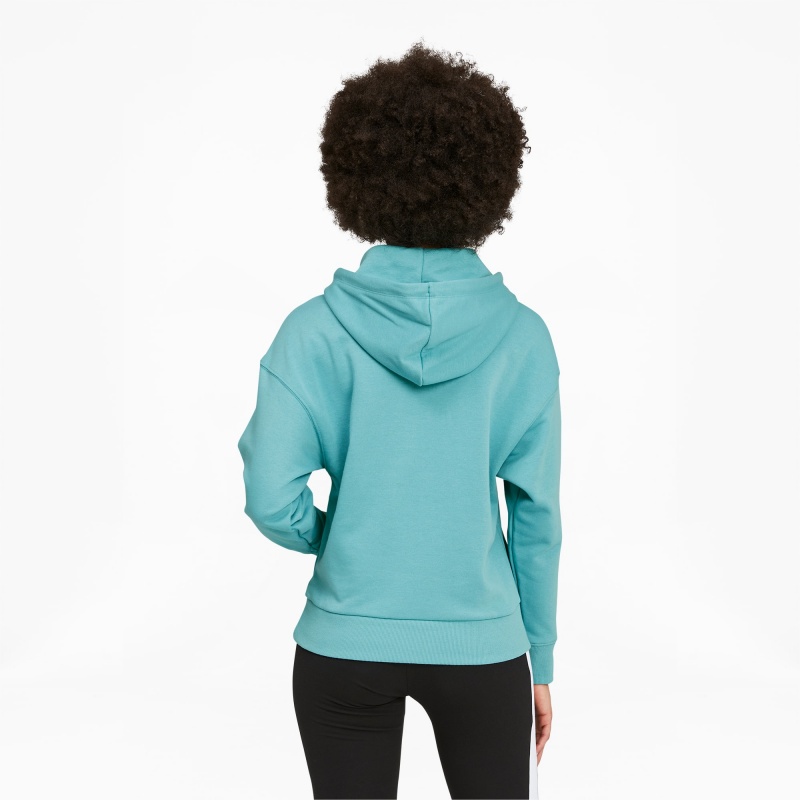 Sudadera con Capucha Puma Classics Logo Porcelain | 19465NOZJ