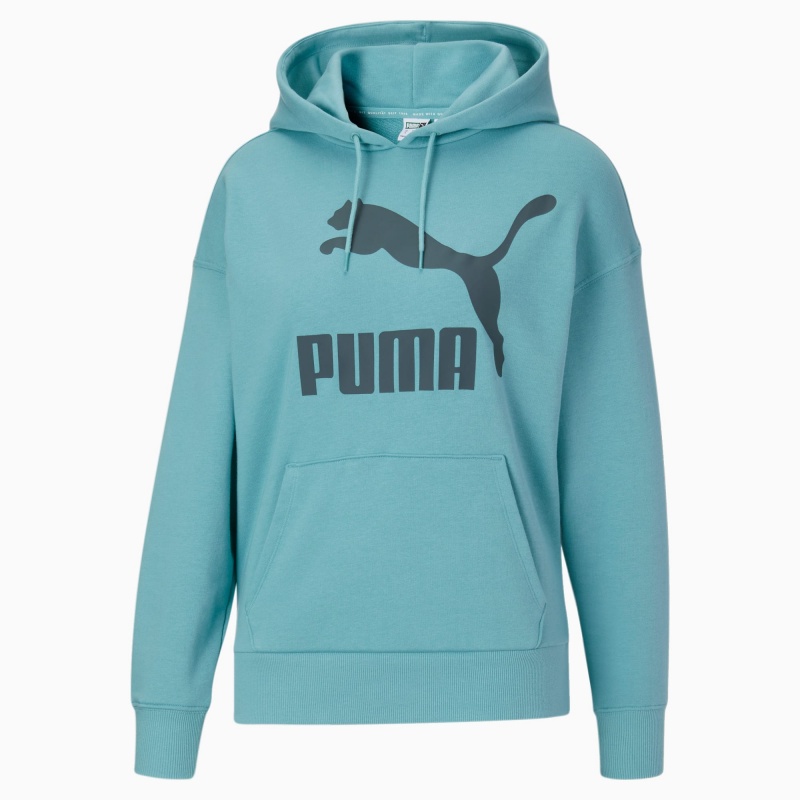 Sudadera con Capucha Puma Classics Logo Porcelain | 19465NOZJ