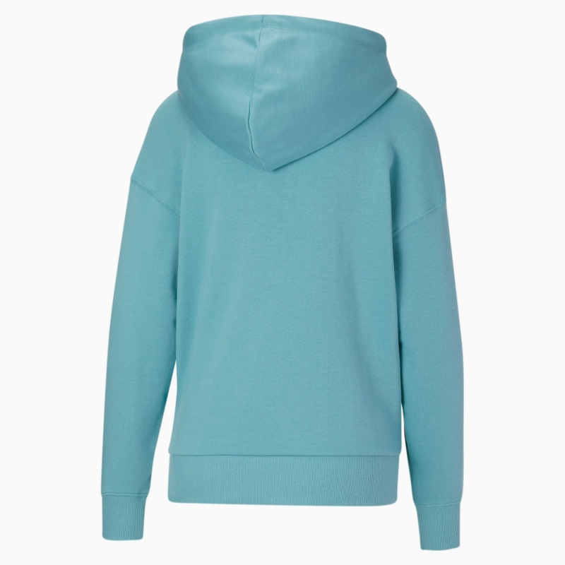 Sudadera con Capucha Puma Classics Logo Porcelain | 19465NOZJ