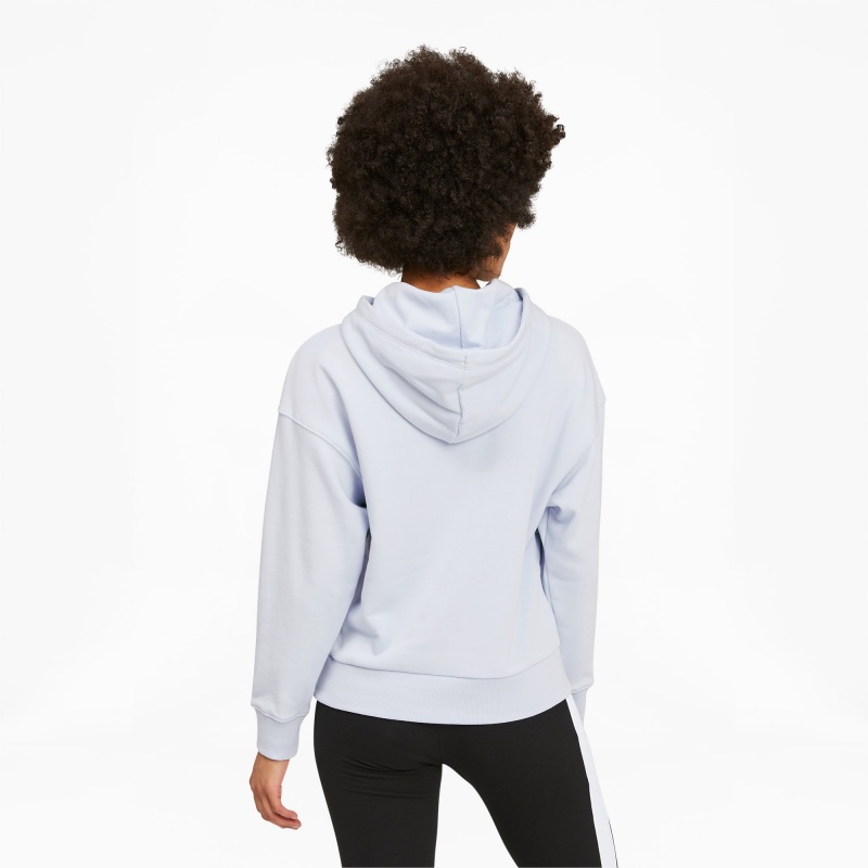 Sudadera con Capucha Puma Classics Logo Arctic Ice | 09127XHDU