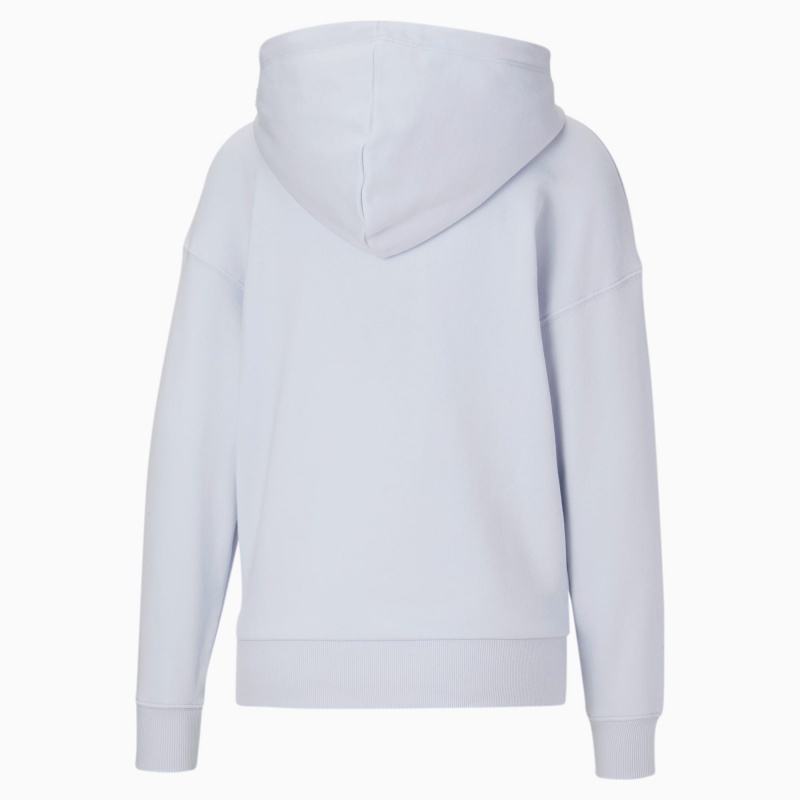Sudadera con Capucha Puma Classics Logo Arctic Ice | 09127XHDU