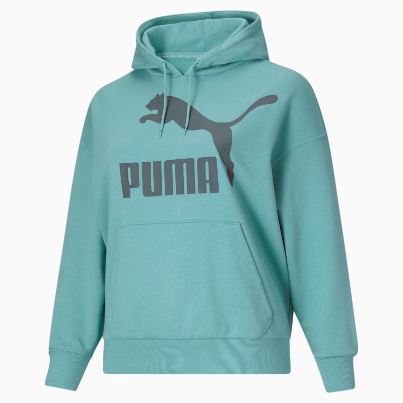 Sudadera con Capucha Puma Classics Logo PL Porcelain | 58204IPHN