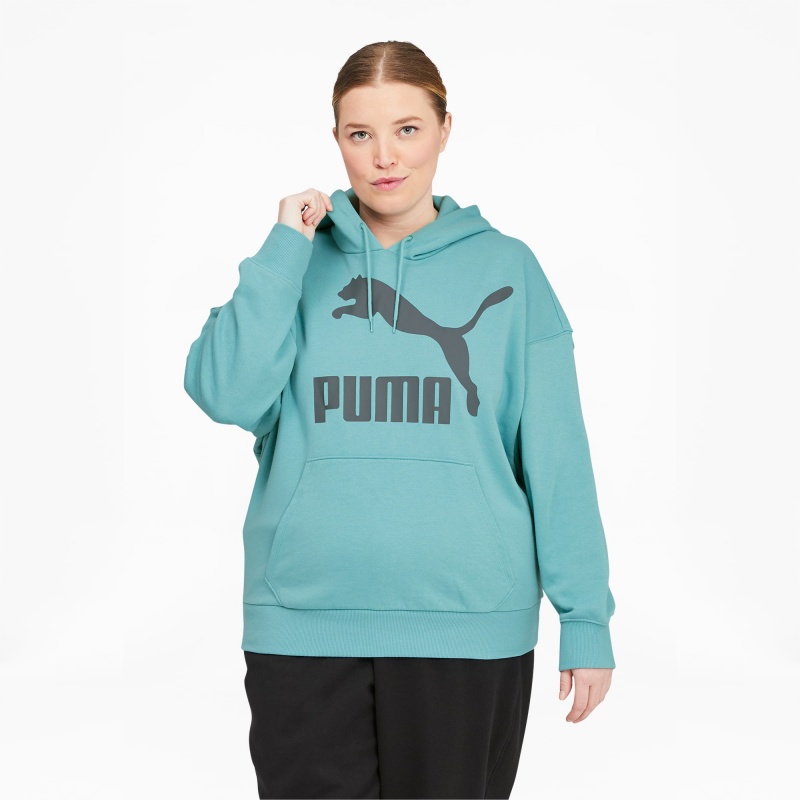 Sudadera con Capucha Puma Classics Logo PL Porcelain | 58204IPHN