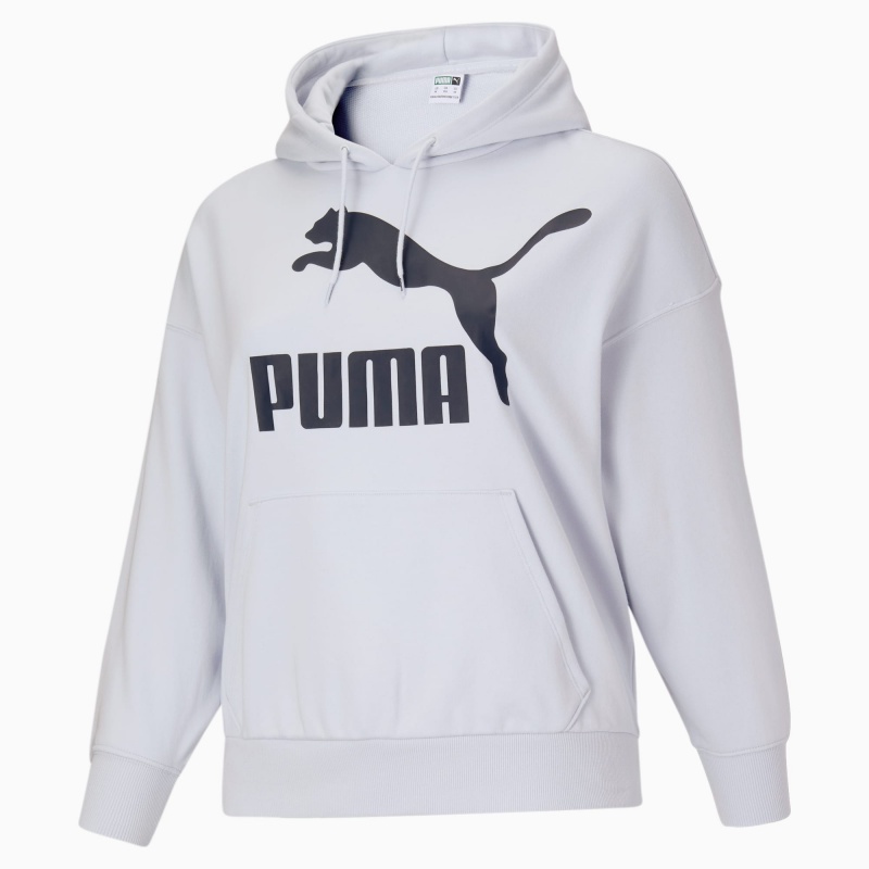 Sudadera con Capucha Puma Classics Logo PL Arctic Ice | 24795UPTE