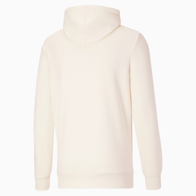 Sudadera con Capucha Puma Classics Logo Hoodie FL no color | 21637NGHC
