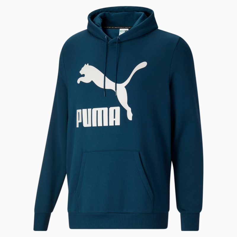 Sudadera con Capucha Puma Classics Logo FL BT Azules | 65918SECJ