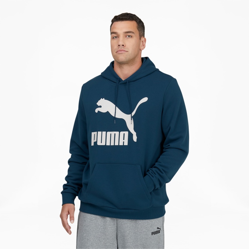 Sudadera con Capucha Puma Classics Logo FL BT Azules | 65918SECJ