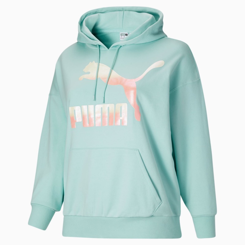 Sudadera con Capucha Puma Classics Logo PL Azules | 70569MOGA
