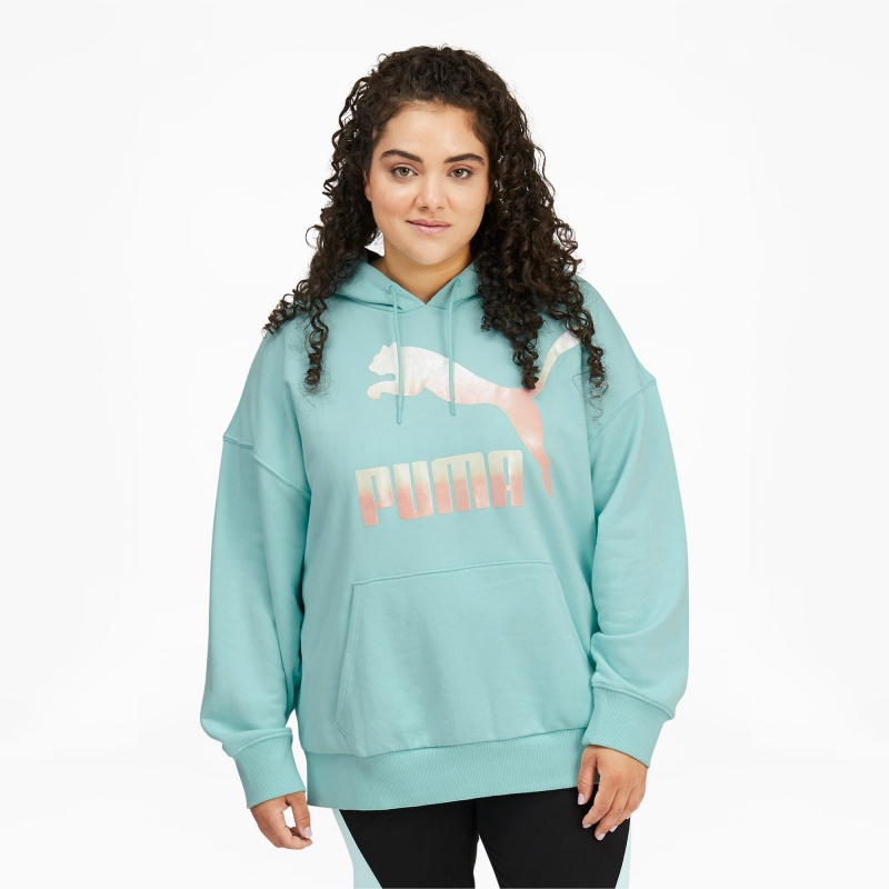 Sudadera con Capucha Puma Classics Logo PL Azules | 70569MOGA