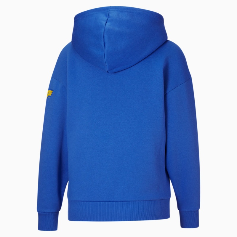 Sudadera con Capucha Puma PUMA x DC Justice League Wonder Azules | 78296RPGT