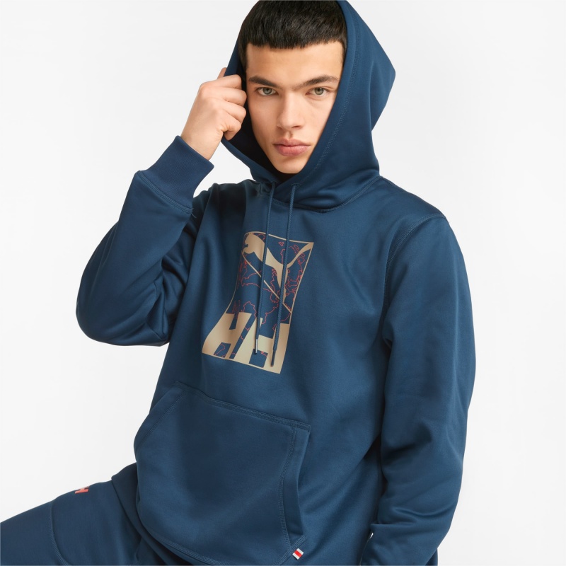 Sudadera con Capucha Puma PUMA x HELLY HANSEN Invierno Azules | 97541YHDQ