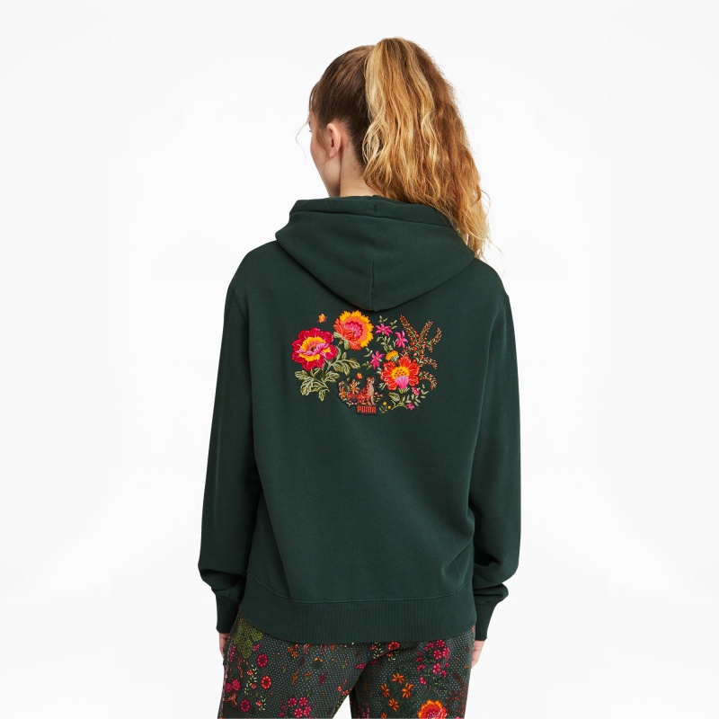 Sudadera con Capucha Puma PUMA x LIBERTY Verdes | 35986NPWY