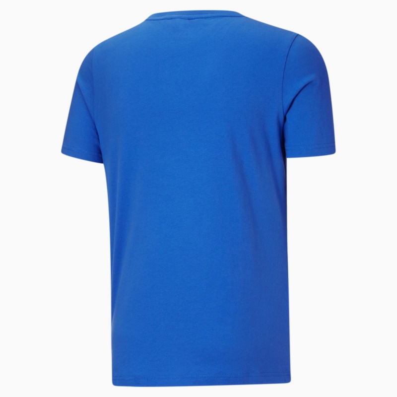 Tee Puma PUMA x DC Justice League Azules | 45697GOWU